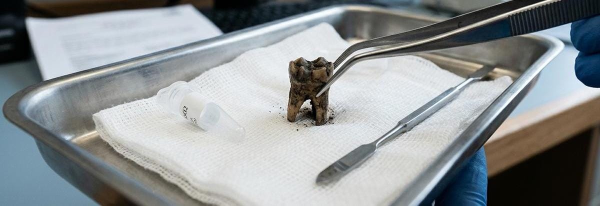 Detalle científico de una muestra dental antigua junto a un mapa genético abstracto y herramientas de análisis, sugiriendo inferencia e incertidumbre.