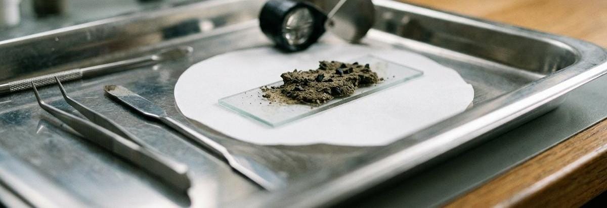 Primer plano de una muestra de sedimento con granos de polen y fragmentos de carbón vegetal junto a herramientas de análisis.