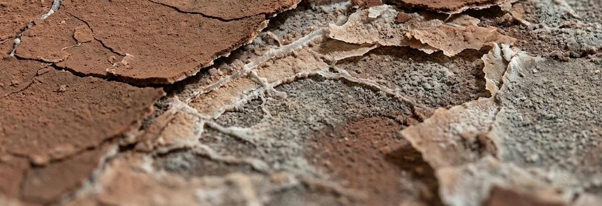 Detalle de una muestra marciana con vetas cristalinas pálidas y una interfaz entre polvo rojo y sales claras, como evidencia mineral de evaporación.