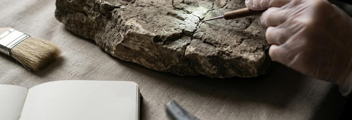 Detalle de una mano con guantes revisando una inscripción erosionada en piedra junto a herramientas de conservación y luz rasante