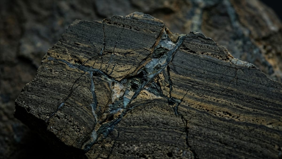Microestructura de sedimentos y fracturas rocosas que sugiere un archivo biológico profundo.