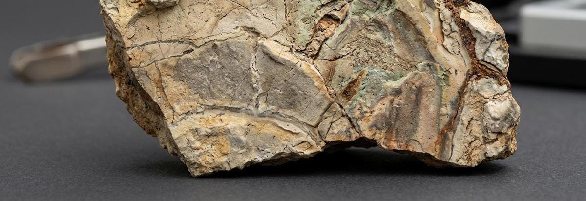 Sección transversal de una roca marciana con vetas minerales y zonas alteradas por agua, mostrada como pieza de análisis científico