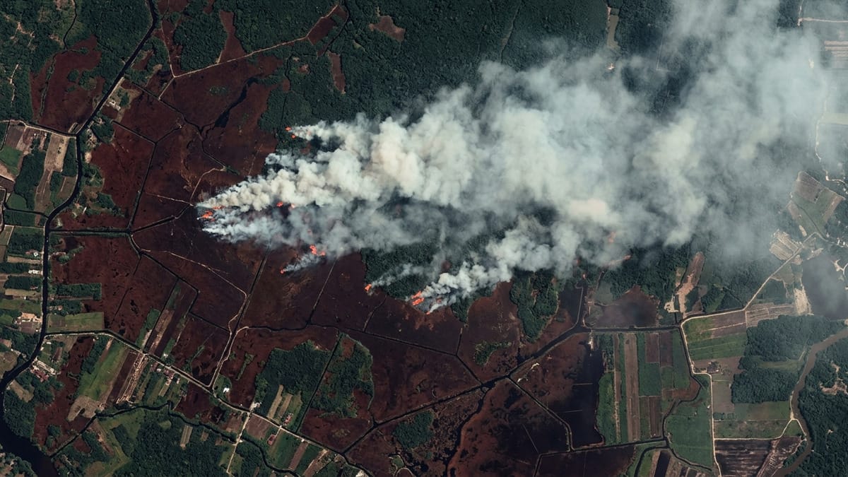 Recreación con IA de humo y marcas de focos térmicos sobre una región de turberas